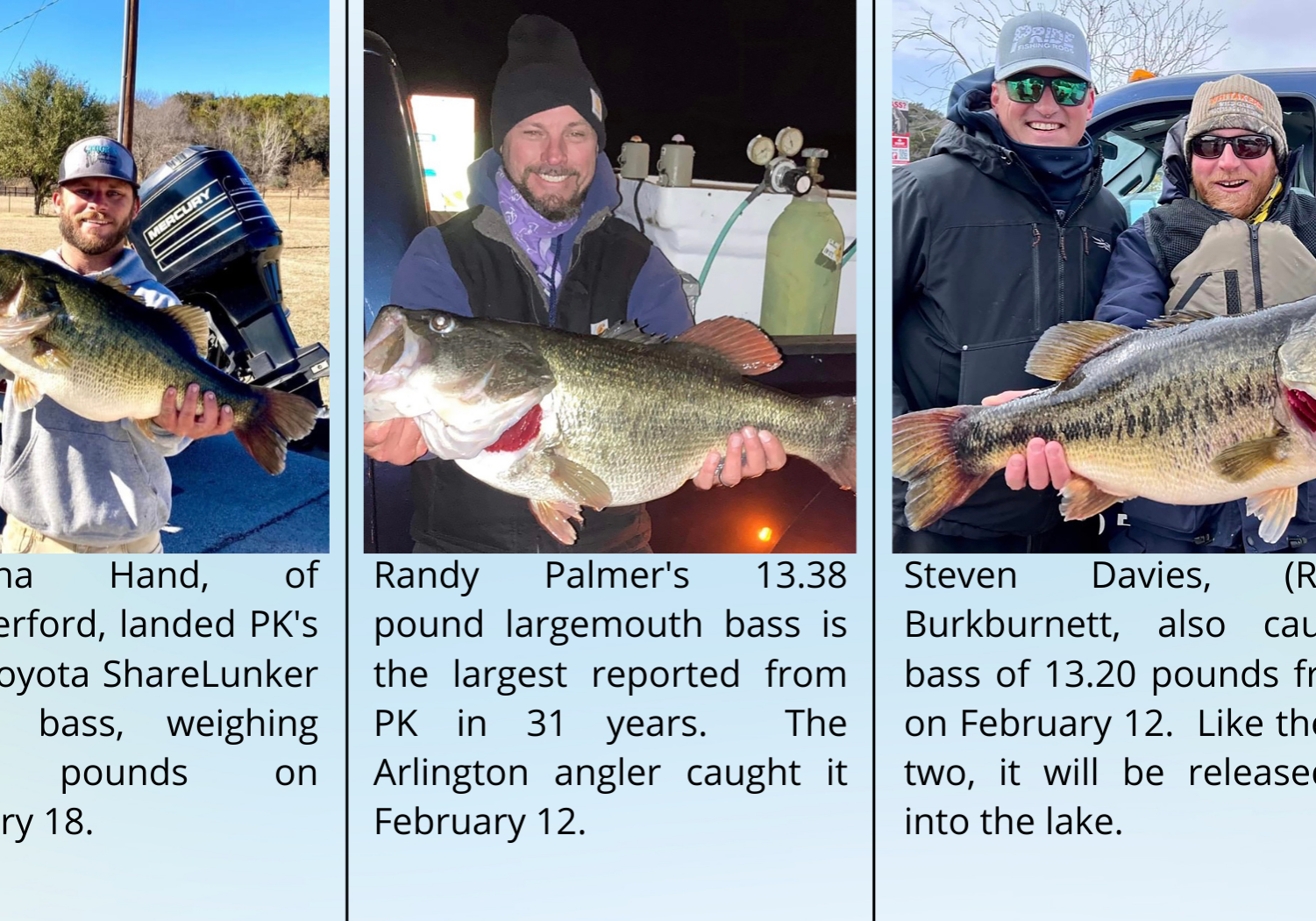 Three pictures of people holding fish in their hands.